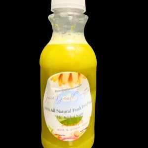 All Natural No Sugar Added Organic Pineapple Ginger and Mint Juice